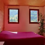 Grande Maison Bi-familiale, Belle Vue, Piscine * Fréland