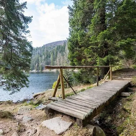 Grande Maison Bi-familiale, Belle Vue, Piscine Feriehus Fréland