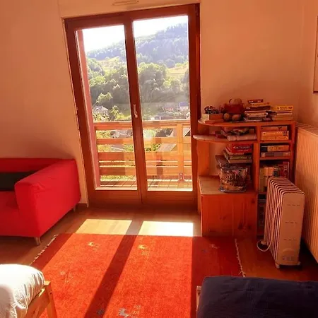 Grande Maison Bi-familiale, Belle Vue, Piscine Holiday home *